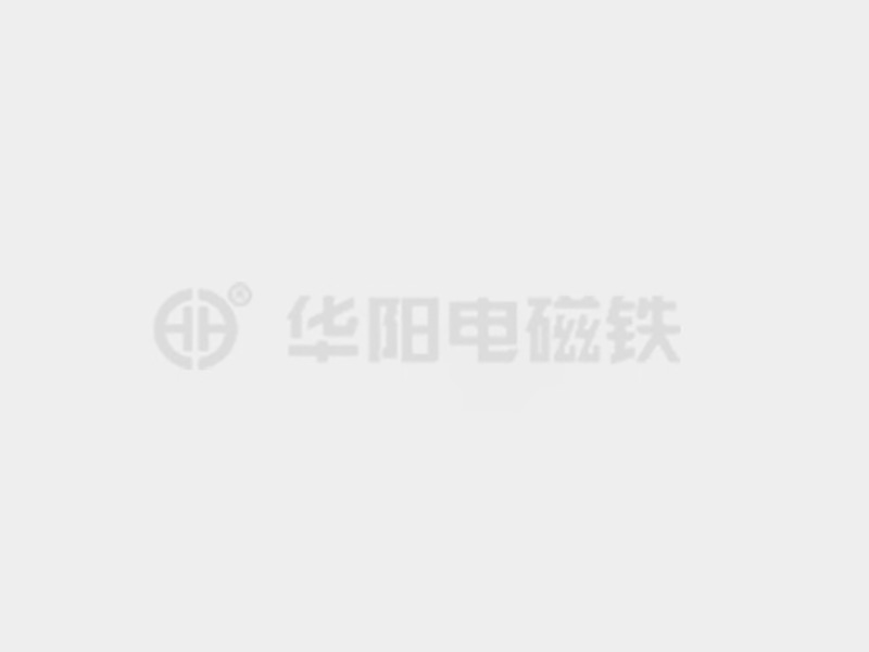 大几把操小骚逼视频防爆电磁铁的储存和维护较佳实践！